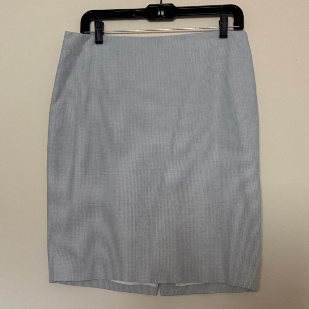 Talbots Light Blue Women's Skirt